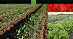 Desktop Screenshot of newcenturycsa.com