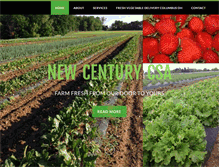 Tablet Screenshot of newcenturycsa.com
